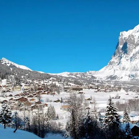 La Muntaniala By Interhome Apartman Grindelwald