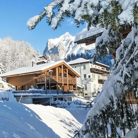 Apartment La Muntaniala By Interhome Grindelwald