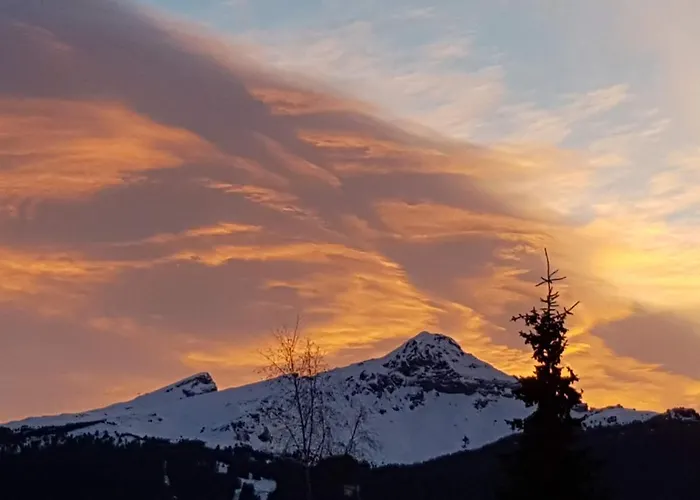 La Muntaniala By Interhome Apartment Grindelwald