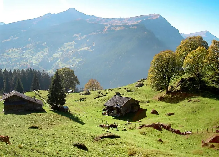 La Muntaniala By Interhome 아파트 *