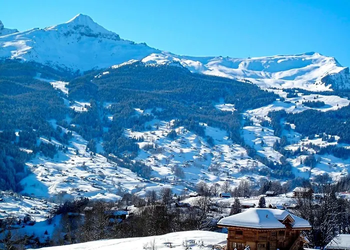 La Muntaniala By Interhome Appartement Grindelwald